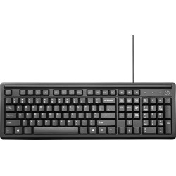 HP Tastiera Keyboard 100