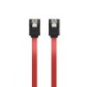 Ewent Cable S-ATA 1.5GBits/3GBits/6GBits - 0,3mt