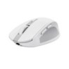 Trust Ozaa mouse Mano destra RF senza fili + Bluetooth Ottico 3200 DP