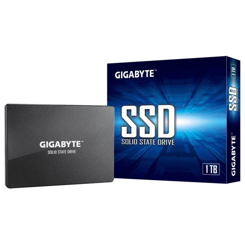 Gigabyte GP-GSTFS31100TNTD drives allo stato solido 2.5 1 TB SATA (Gi