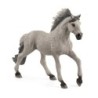 schleich FARM WORLD Sorraia Mustang Stallion (SCHLEICH Farm World Sor