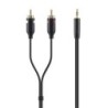 Belkin F3Y116BT2M cavo audio 2 m 2 x RCA 3,5 mm Nero