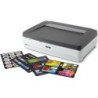 Epson Expression 13000XL Pro - Flatbed scanner - A3 - 2400 dpi x 4800