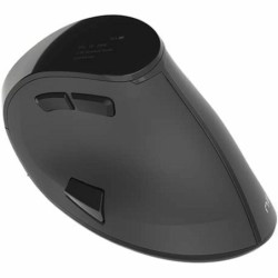 Mouse senza Fili Natec Euphonie 2400 DPI Nero