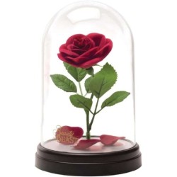 ENCHANTED ROSE LIGHT V2 BDP