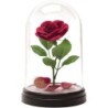 ENCHANTED ROSE LIGHT V2 BDP