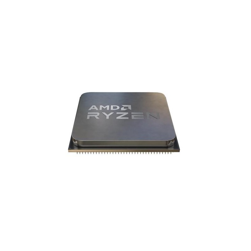 Processore AMD Ryzen 5 5600G 3,9 GHz 16 MB L2