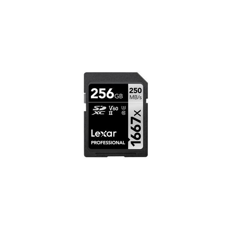 Scheda di memoria SDXC, 256 GB