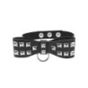 S&amp;M STUDDED BOW TIE COLLAR, HALSBAND MIT FLIEGE &amp; NIETEN