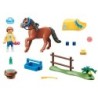 Playmobil Country - Pony Welsh da collezione (70523)