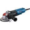 Bosch GWX 17-125 PSB Professional Vinkelsliber 1700W