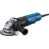 Bosch GWS 17-125 PSB Professional Vinkelsliber 1700W