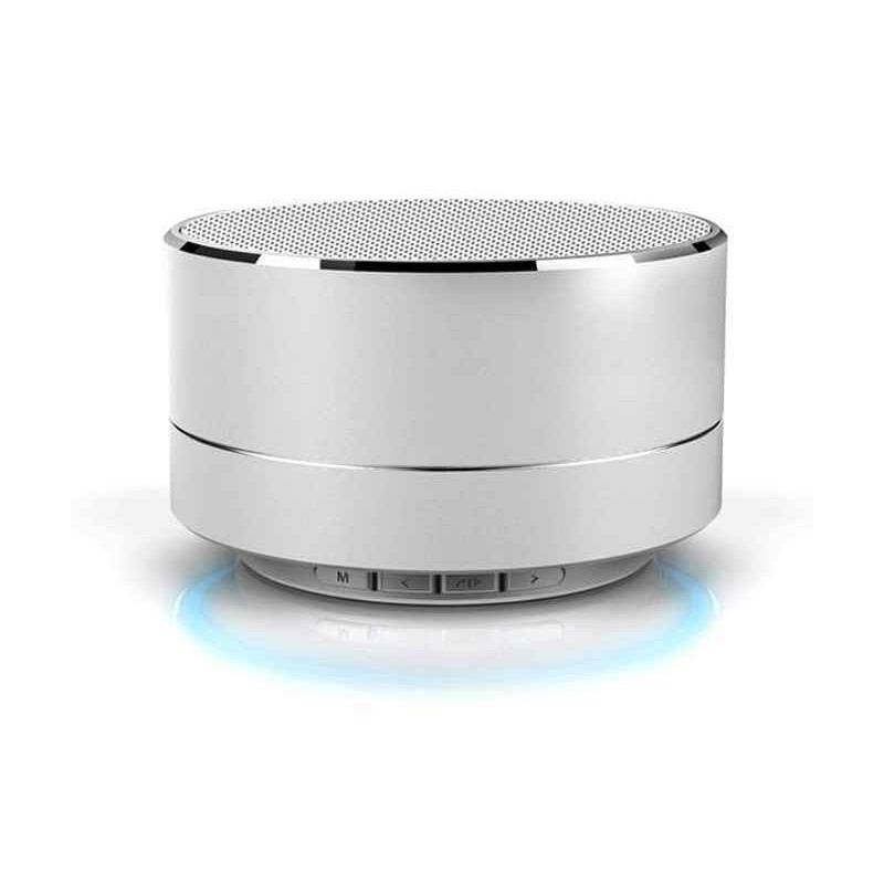 Altoparlante Bluetooth Reekin Marlin con vivavoce argento