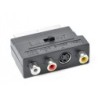 Adattatore Scart/RCA/S-Video bidirezionale CableXpert - CCV-4415