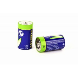 EnerGenie Alkaline D Cell Batteria Confezione da 2 EG-BA-LR20-01