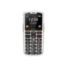 Beafon Silver Line SL260 Feature Phone Silver/Black SL260_EU001SB