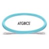 ATGBICS CAB-OM3-SC-SC-2M-S cavo InfiniBand e in fibra ottica OFNR Col