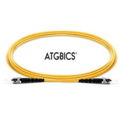 ATGBICS CAB-OS2-ST-ST-2M-S cavo InfiniBand e in fibra ottica OFNR Gia