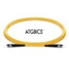 ATGBICS CAB-OS2-ST-ST-2M-S cavo InfiniBand e in fibra ottica OFNR Gia