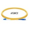 ATGBICS CAB-OS2-LC-SC-3M-S cavo InfiniBand e in fibra ottica OFNR Gia