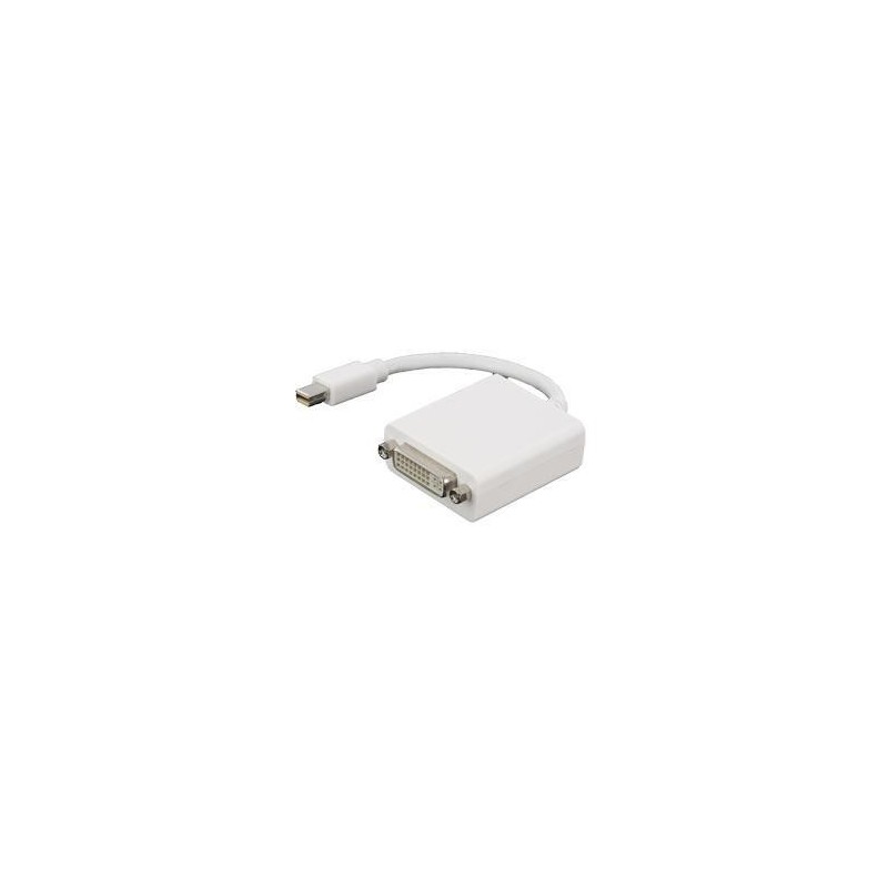 Da Mini DisplayPort a DVI