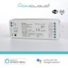 Ricevitore DIM +pulsante 12/36V DC2CH5A Wi-Fi+RF 24G CCT