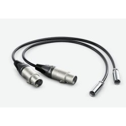 Cavo audio 0,495 M Mini Xlr