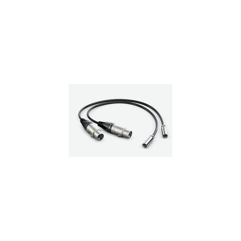 Cavo audio 0,495 M Mini Xlr