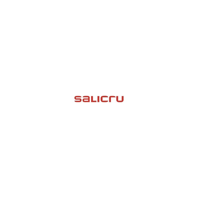 Salicru SNMP FOR SLC 10 CUBE INTERNAL USO