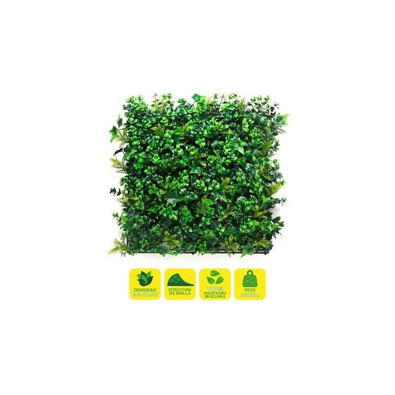 Sungarden Jardin Vertical 50x50cm Serie Botanico - Giardino verticale