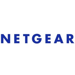 NETGEAR NMS300L2-10000S licenza per software/aggiornamento