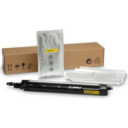 HP LaserJet Yellow Developer Unit - Toner - - per HP Color LaserJet M