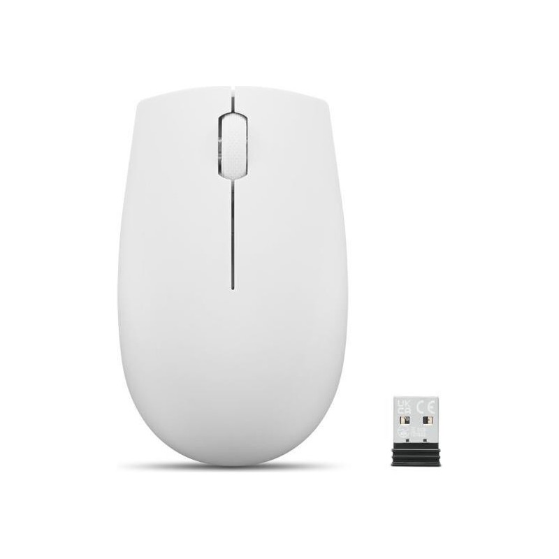 Lenovo 300 WIRELESS GREY mouse Ambidestro RF Wireless Ottico 1000 DP