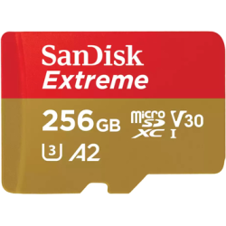 SanDisk Extreme 256 GB MicroSDXC UHS-I Classe 10 SanDisk Extreme - S