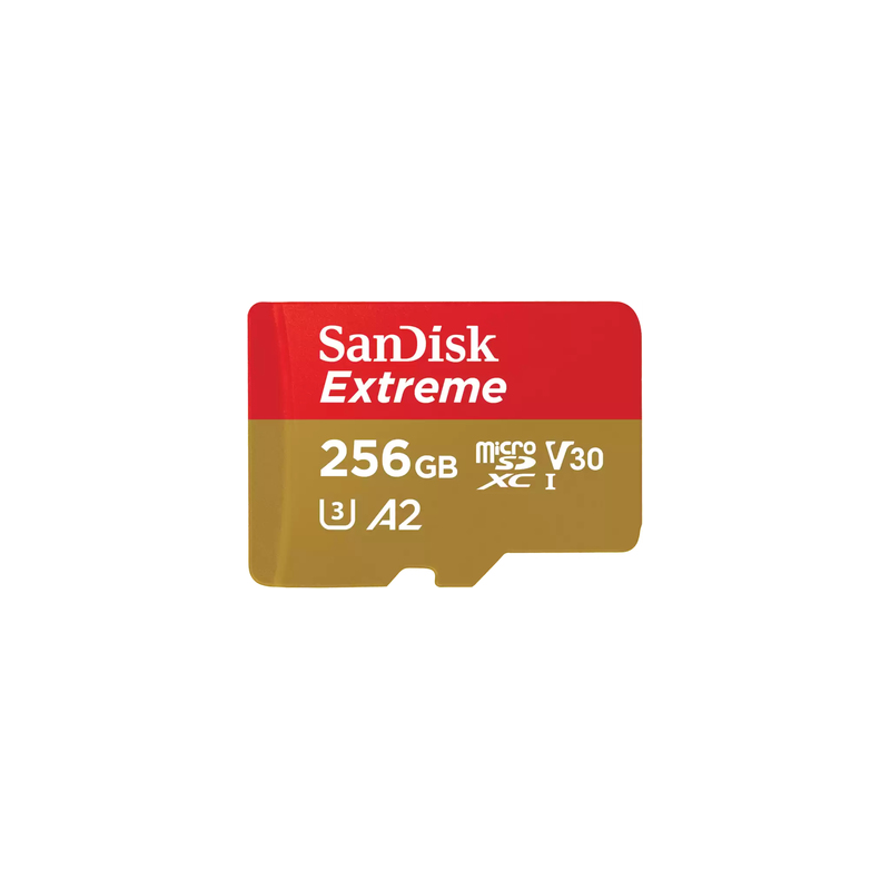 SanDisk Extreme 256 GB MicroSDXC UHS-I Classe 10 SanDisk Extreme - S