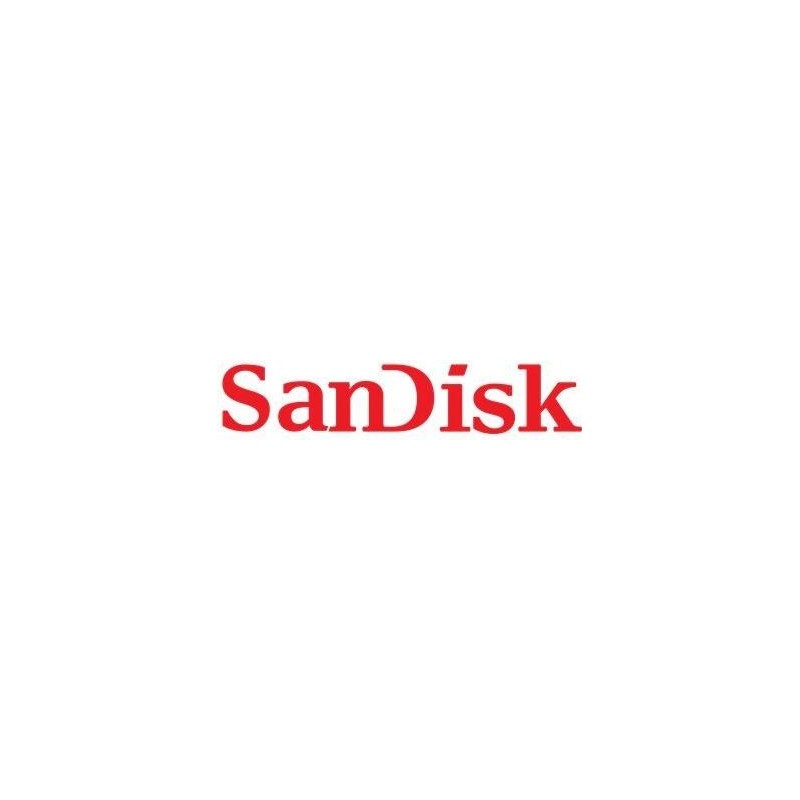 SanDisk&reg; PROFESSIONAL DESK DRIVE 4 TB Externe Festplatte USB-C 1000M