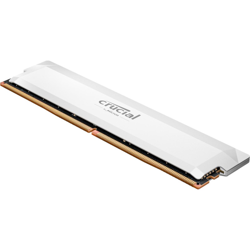 Crucial Pro Overclocking memoria 16 GB 1 x 16 GB DDR5 6000 MHz (16GB 