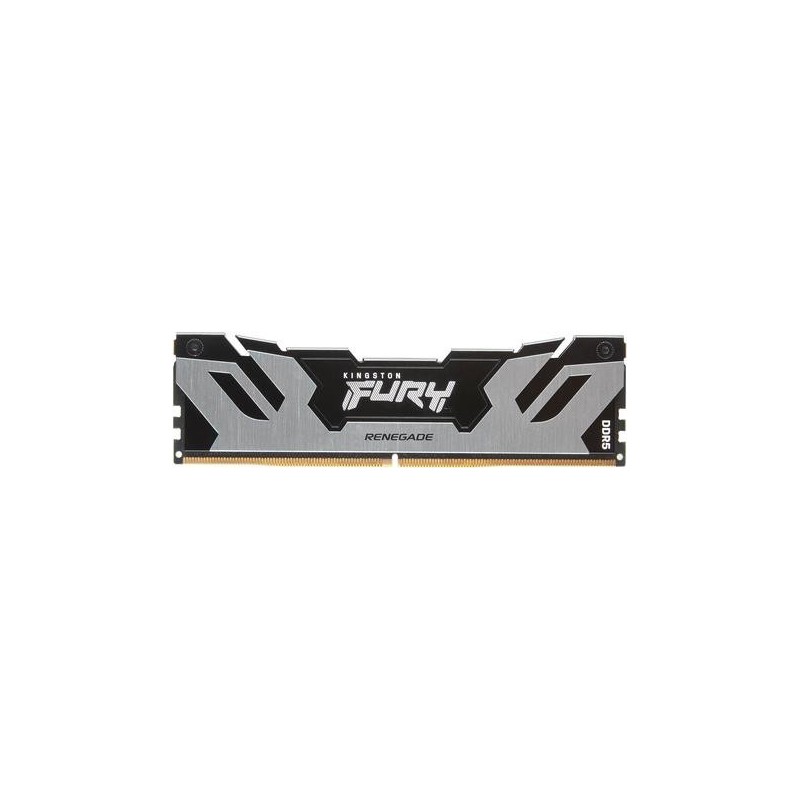 48GB DDR5-6400MT/S CL32 DIMM - FURY RENEGADE SILVER XMP