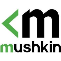 Mushkin ELEMENT Solid state-drev 256GB 2.5 SATA-600