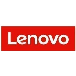 Lenovo NVMe M.2 SSD 960GB Read Intensive Non Hot Swap, PCIe 4.0 x4 PM