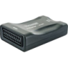 Convertitore HDMI Scart Presa HDMI Presa SCART