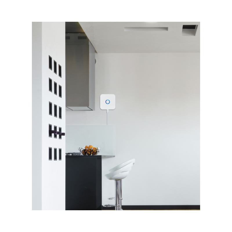 Gateway Z-Wave Plus di seconda generazione, ZIGBEE, WIFI, USB