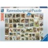 Ravensburger Puzzle Timbri con animali 17079