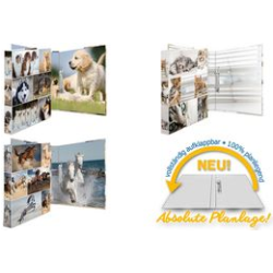 ANIMALS Ringb&Atilde;&frac14;cher Hunde 2D