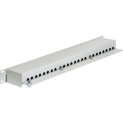 Delock Patch panel da 19&quot; 24 porte Cat,6 grigio