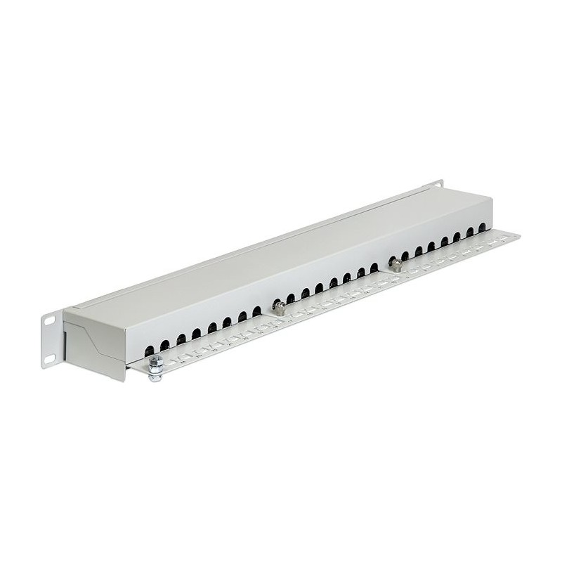 Delock Patch panel da 19&quot; 24 porte Cat,6 grigio