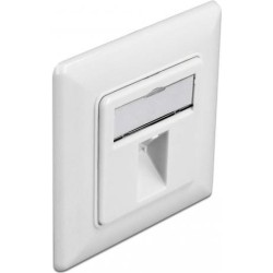 Delock Keystone Wall Outlet 1 port