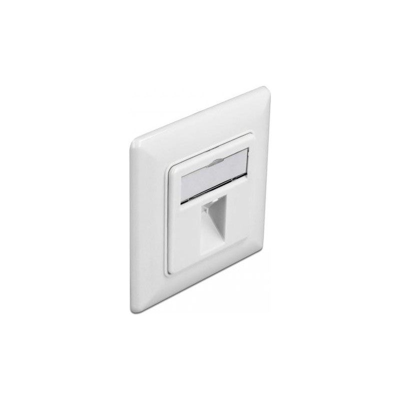 Delock Keystone Wall Outlet 1 port