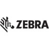 Zebra PolyPro 3000T Bianco (POLYPRO 3000T CLEAR TT 75X35MM - PERM ADH