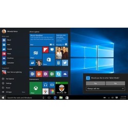 Microsoft Windows 10 Pro 1 licenza/e (Windows 10 Pro 32/64bit ESD)